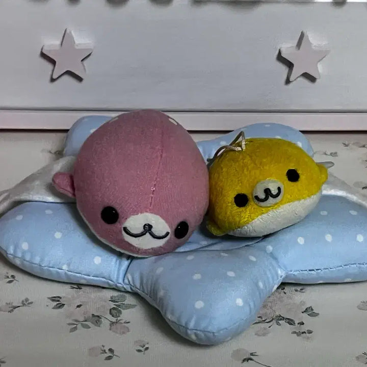 [BUNJANG] Mamegoma 2 Types Bundle Set / 오늘만 7.3>7 마메고마 2종 일괄