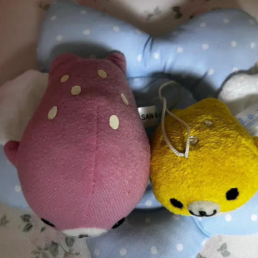 [BUNJANG] Mamegoma 2 Types Bundle Set / 오늘만 7.3>7 마메고마 2종 일괄