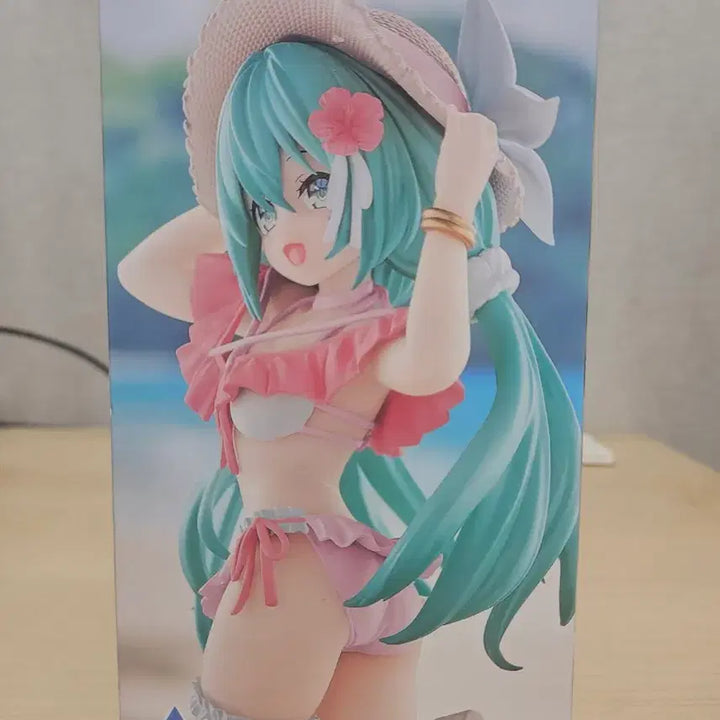 [BUNJANG] Hatsune Miku Figure / 하츠네미쿠  피규어 (배송비 포함)
