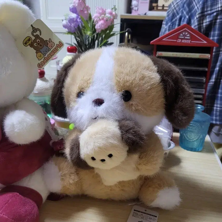 [BUNJANG] Cute Bear Dog Plush Toy Set / 귀여운 곰돌이 강아지 인형 세트 택포