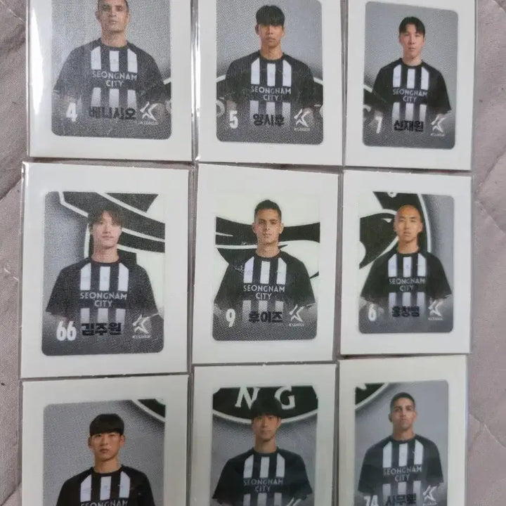 [BUNJANG] Seongnam FC Player Sticker Set (9 Types) / 성남 FC 선수 띠부씰 9종 세트 판매