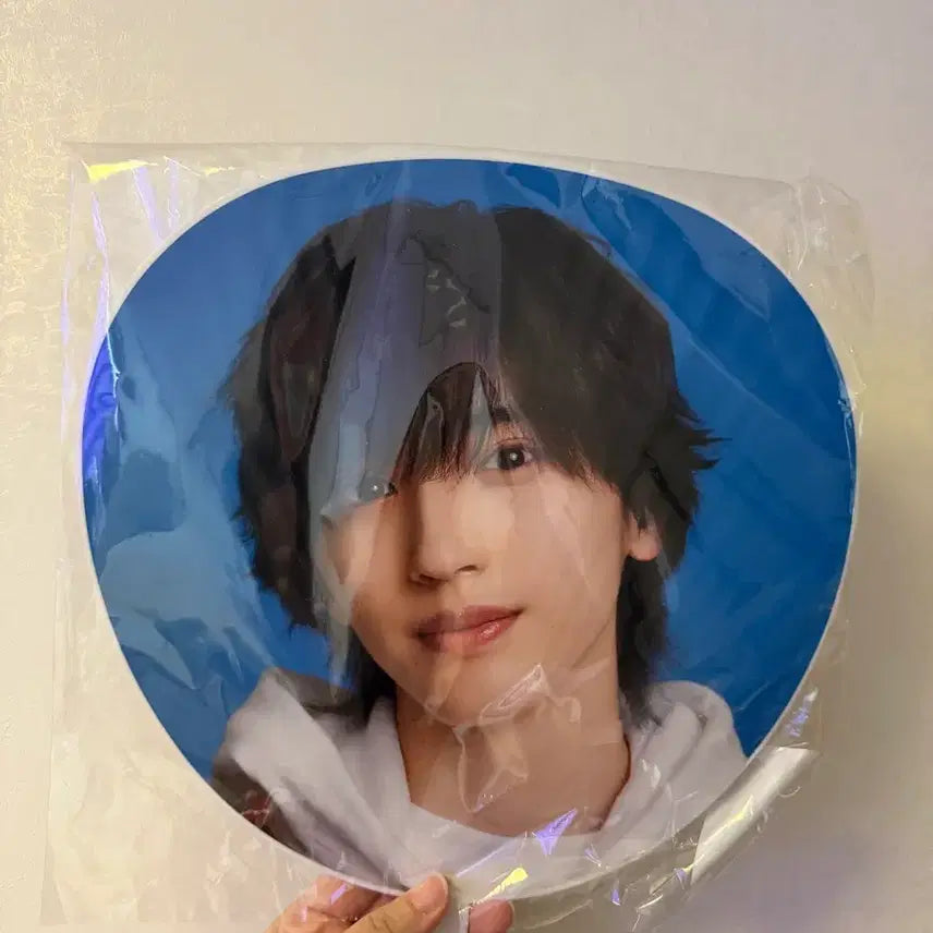 [BUNJANG] Naniwa Danshi Shunsuke Michieda Fanlight / 나니와단시 미치에다슌스케 우치와