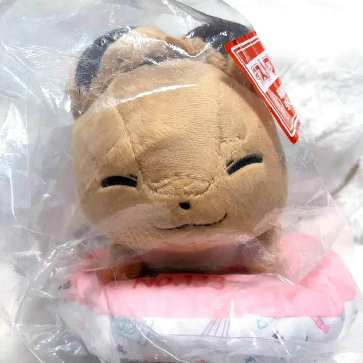 [BUNJANG] Pokemon Ichiban Kuji Last One Eevee Cushion / 최저가) 포켓몬 이치방쿠지 라스트원상 이브이 새상품