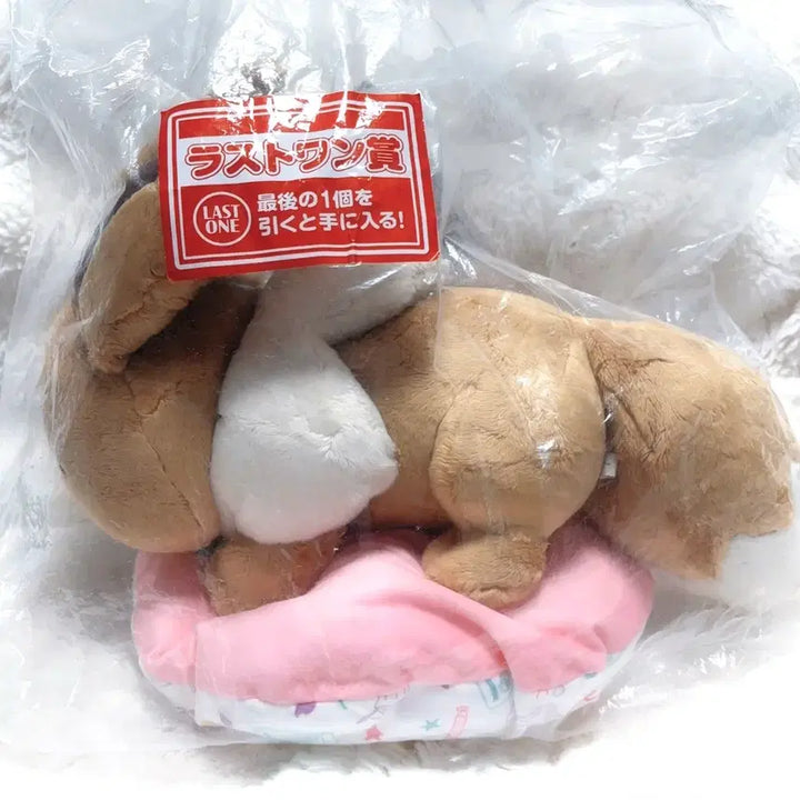 [BUNJANG] Pokemon Ichiban Kuji Last One Eevee Cushion / 최저가) 포켓몬 이치방쿠지 라스트원상 이브이 새상품