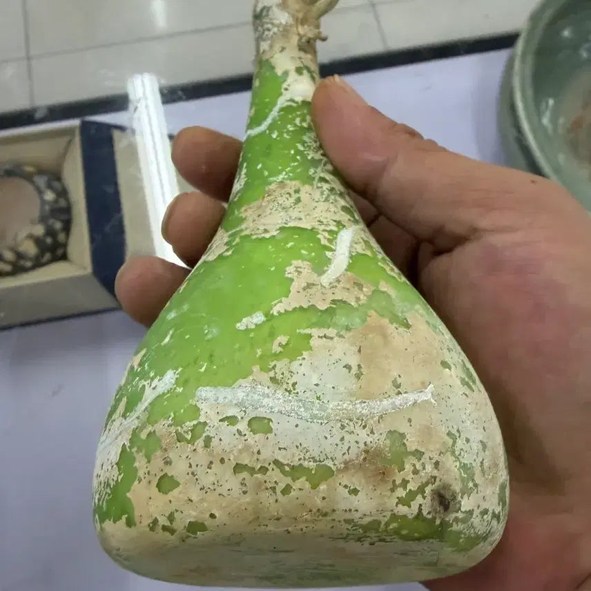 [BUNJANG] Genuine Antique Celadon Glass Vase (Repaired) / 진품 옛날 천년정된 유리 꽃병(파손수리품)운송시간13일)