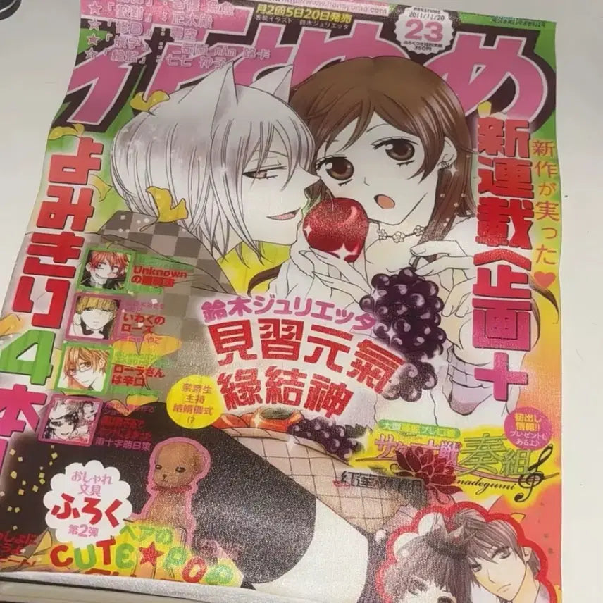 [BUNJANG] Kamisama Kiss Poster / 오늘부터 신령님 포스터