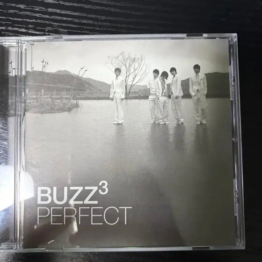 [BUNJANG] Buzz 3rd Album Perfect CD / 버즈 3집 perfect CD