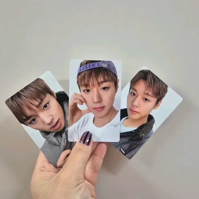[BUNJANG] Park Ji Hoon Superdry Photocard Set / 박지훈 슈퍼드라이 포카 3종세트
