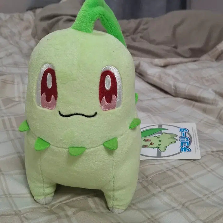 [BUNJANG] Chikorita Japanese Doll / 포켓몬스터 치코리타 일본인형 택o