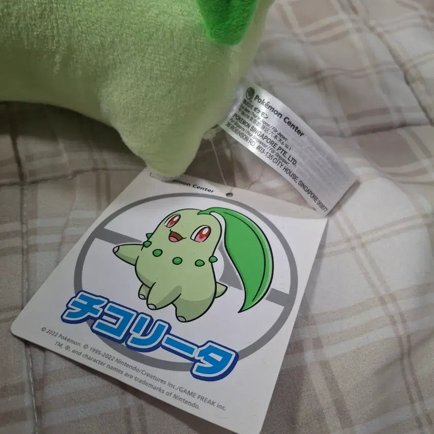 [BUNJANG] Chikorita Japanese Doll / 포켓몬스터 치코리타 일본인형 택o