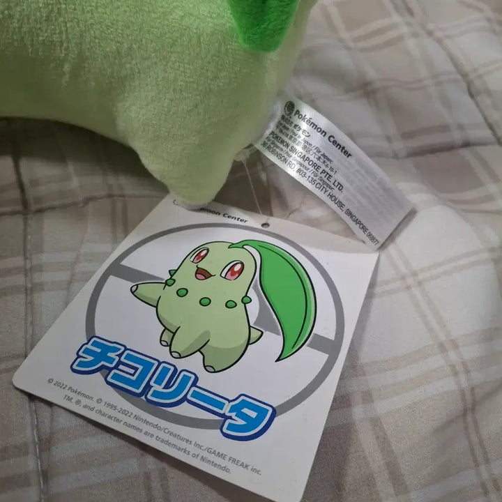 [BUNJANG] Chikorita Japanese Doll / 포켓몬스터 치코리타 일본인형 택o