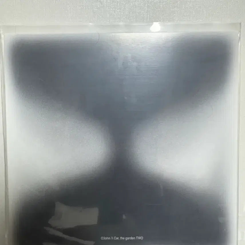 [BUNJANG] Car, the Garden Two LP / 카더가든 two lp