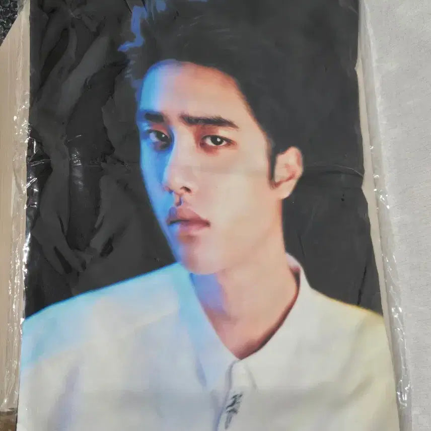 [BUNJANG] EXO D.O. Kyungsoo Cushion Cover / 엑소 exo 디오 도경수 굿즈 쿠션 커버(싸게넘김)