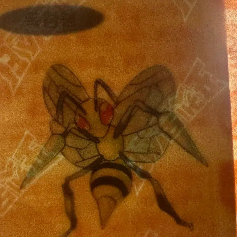 [BUNJANG] Pokemon 30th Anniversary Dibble Sticker - Venomoth (Sealed) / [미개봉 새상품] 포켓몬 30주년 띠부씰 스티커 독침봉