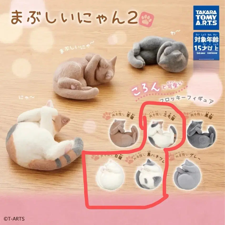 [BUNJANG] Tomiaa Chu "Dazzling Cat 2" 3-Piece Bundle Set / 토미아츠 눈이부시다냥2 3종 일괄