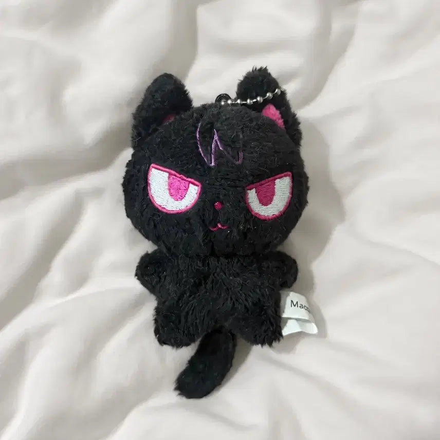 [BUNJANG] &amp;TEAM Nicholas Konyangjjumong Plush / 앤팀 니콜라스 인형 코냥쭈멍 코냥이