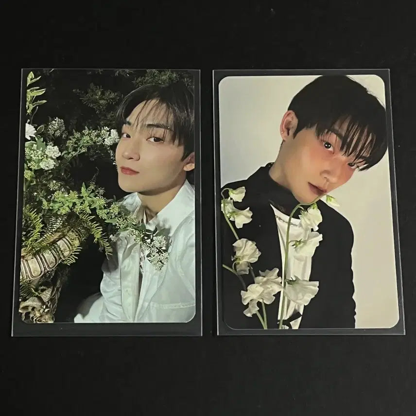 [BUNJANG] The Boyz Love Letter Kevin Bundle Set Photocard / 더보이즈 러브레터 포카 케빈 일괄