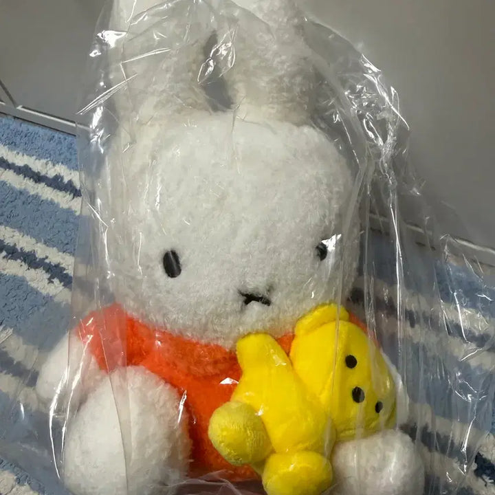 [BUNJANG] Miffy Holding Bear Plush / 곰 안은 미피 인형