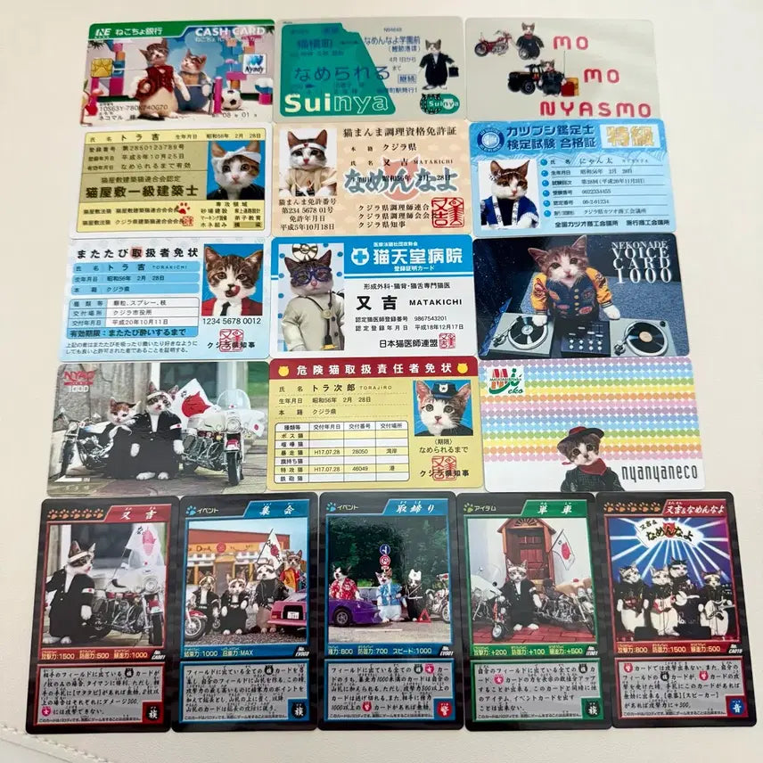 [BUNJANG] Nameneko Cat Biker Card Bundle Set / 나메네코 고양이 폭주족 카드 일괄