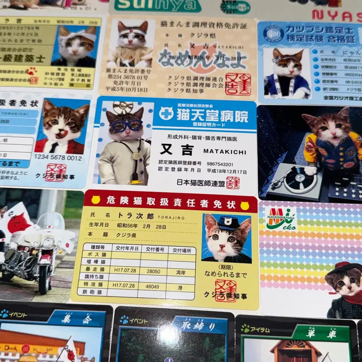 [BUNJANG] Nameneko Cat Biker Card Bundle Set / 나메네코 고양이 폭주족 카드 일괄