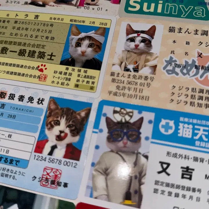 [BUNJANG] Nameneko Cat Biker Card Bundle Set / 나메네코 고양이 폭주족 카드 일괄