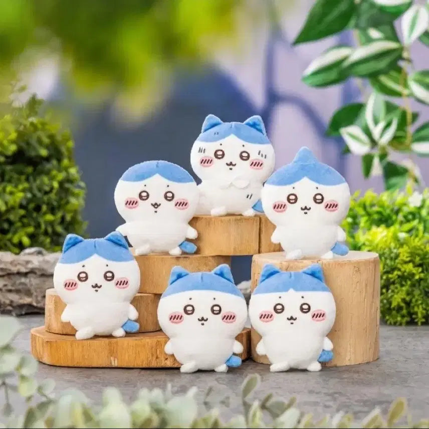 [BUNJANG] Hachware Lottery E Prize Bundle Set / 하치와레 투성이 쿠지 E상 6종 일괄
