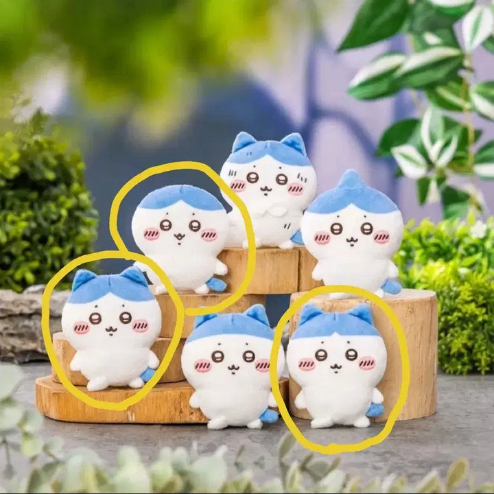 [BUNJANG] Bataware Collection Ichiban Kuji Prize E 3-Set Bundle / 하치와레투성이 쿠지 E상 3종 일괄