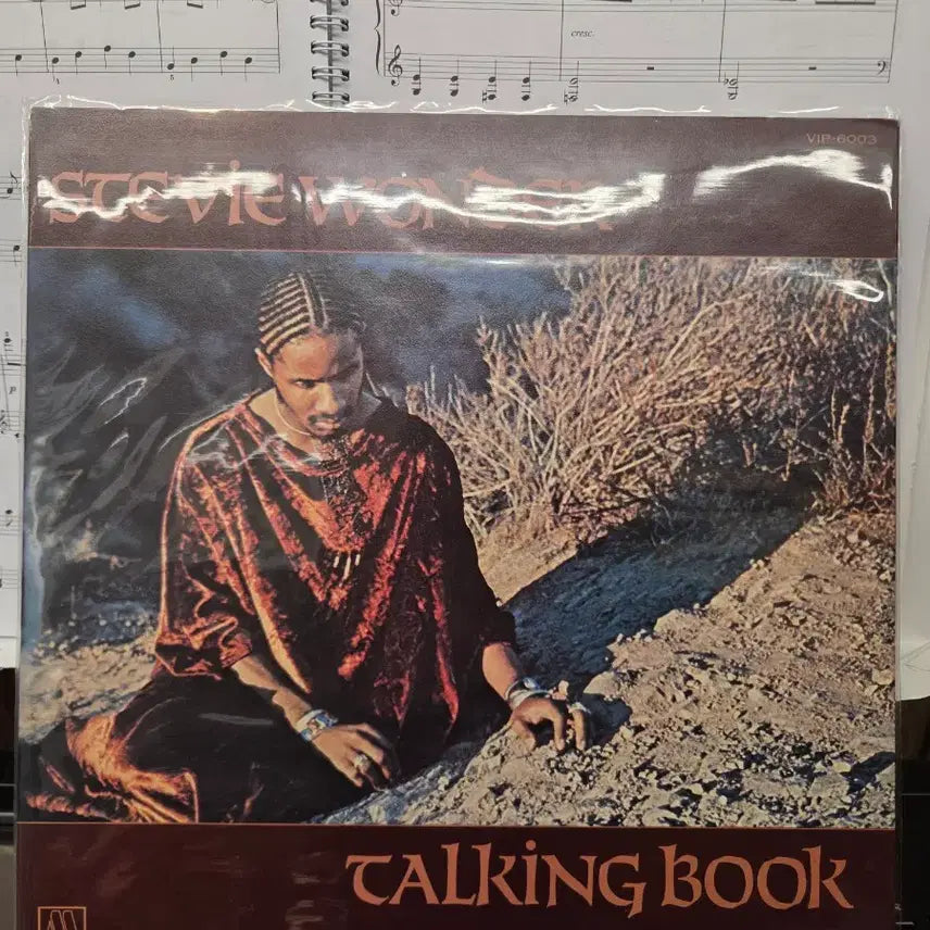 [BUNJANG] Stevie Wonder Vinyl Records Collection / 스티비원더 LP 다수 판매 (설명란에 상세 가격 참고)