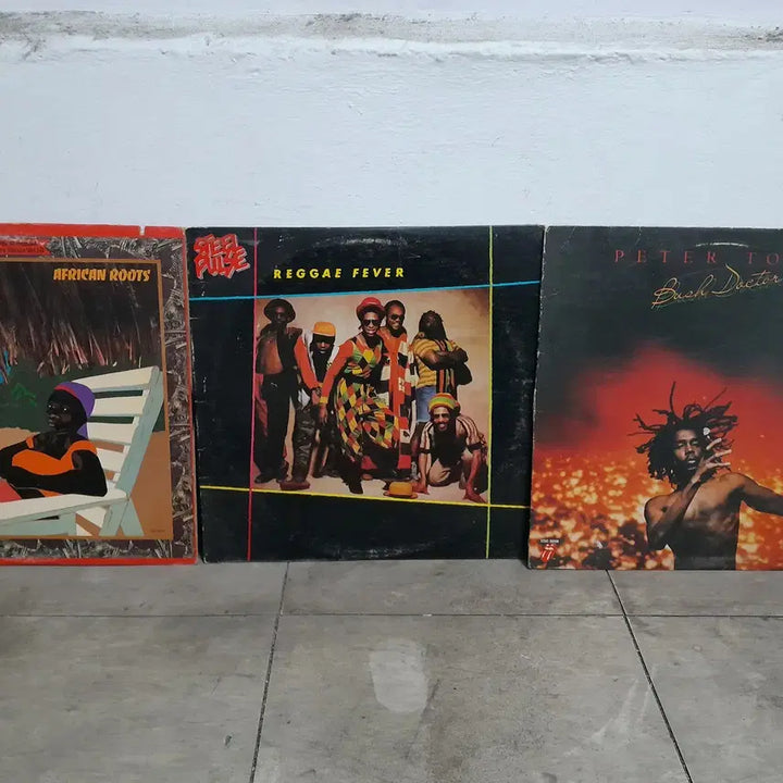 [BUNJANG] Import Reggae LP - 11 Records / 수입  레게 LP--11매
