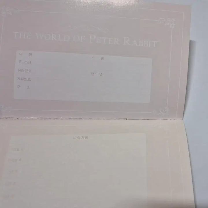 [BUNJANG] Peter Rabbit Savings Account Book / 고전문구 피터래빗 용돈 기입장
