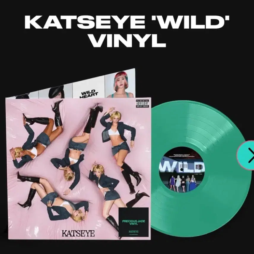 [BUNJANG] Katseye Wild LP Signed Autographed Record / 초희귀 개인문구 친필싸인 lp] 캣츠아이 katseye wild lp