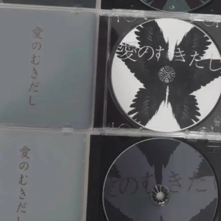 [BUNJANG] Ghostclub CD / 고스트클럽 cd 개별로 팝니다