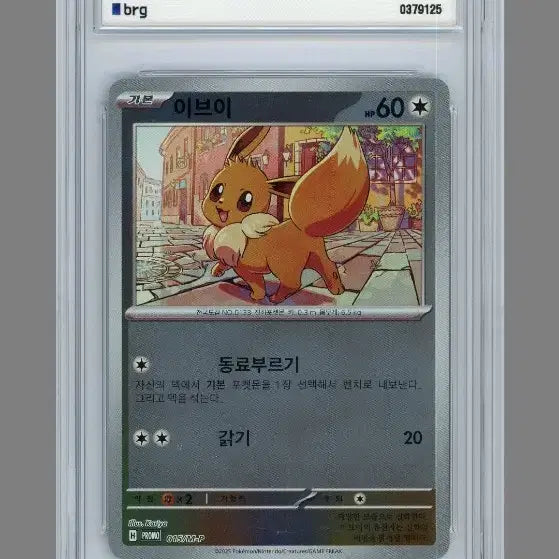 [BUNJANG] Pokemon Eevee Pokemon School Promo BRG 9 / 포켓몬 이브이 포켓몬 스쿨 프로모 brg9
