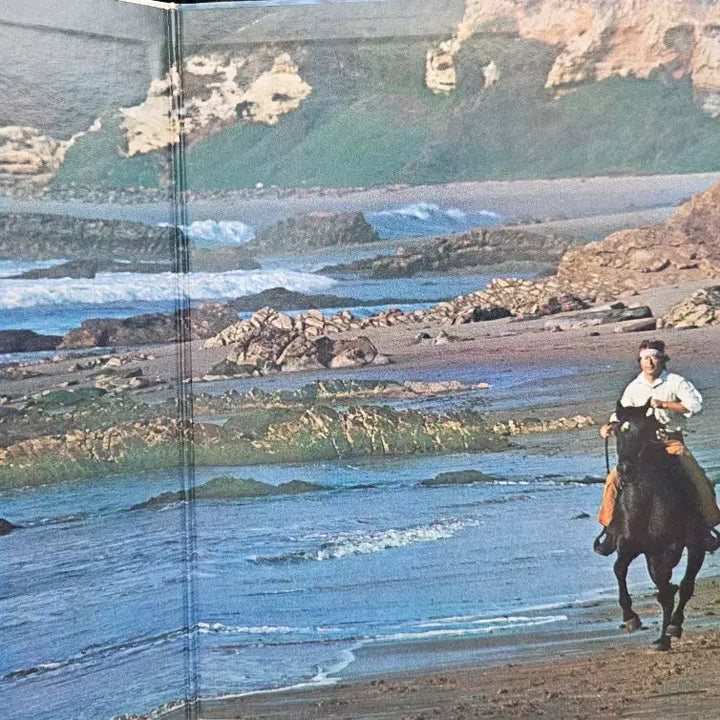 [BUNJANG] John Denver "Greatest Hits" LP Vinyl Record / 존 덴버 LP
