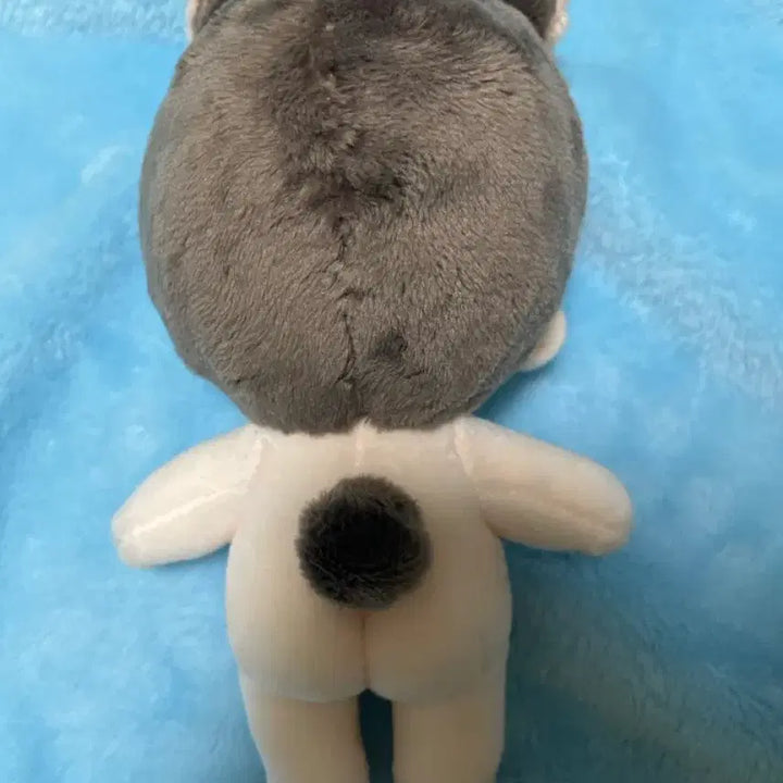 [BUNJANG] Demutjoo Bae Sejin Custom 15cm Plush Doll / 데못죽 배세진 속성 솜인형 칭찬테스타 소리없이강하뵤 양도 15cm