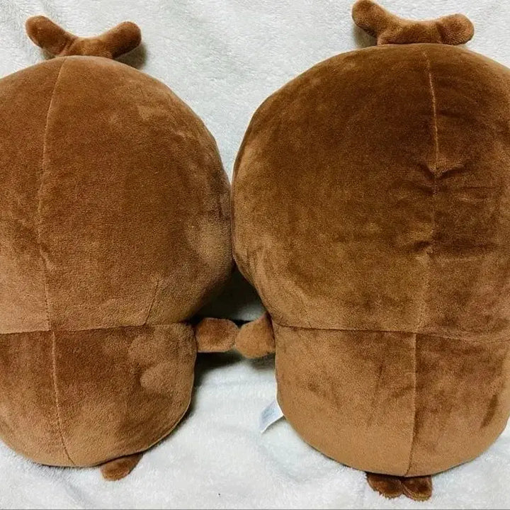 [BUNJANG] Cheekawaii Beetle Big Plush Doll / (택X) 치이카와 풍뎅이 Big 누이구루미 인형