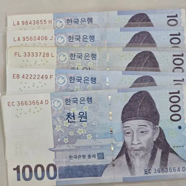 [BUNJANG] Rare 1000 Won Banknote Bundle / 귀한지폐
