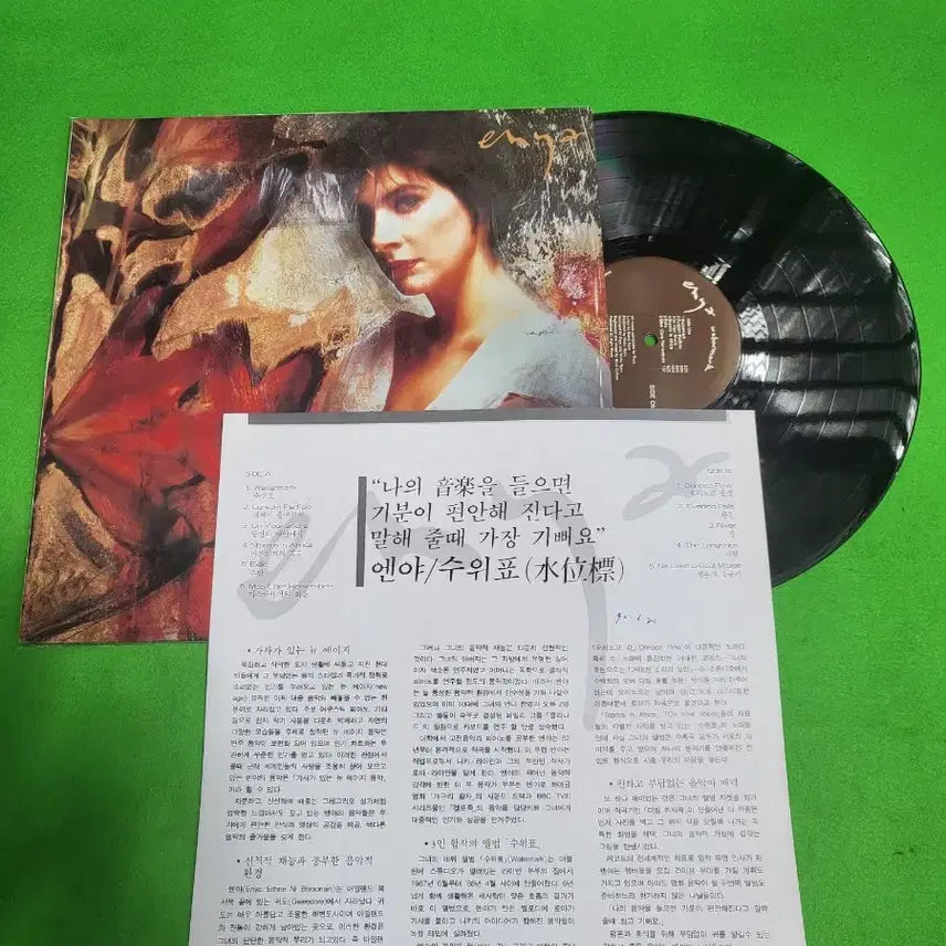 [BUNJANG] Enya 2-LP Set / -LP- 엔냐(ENYA) 음반 LP 2장