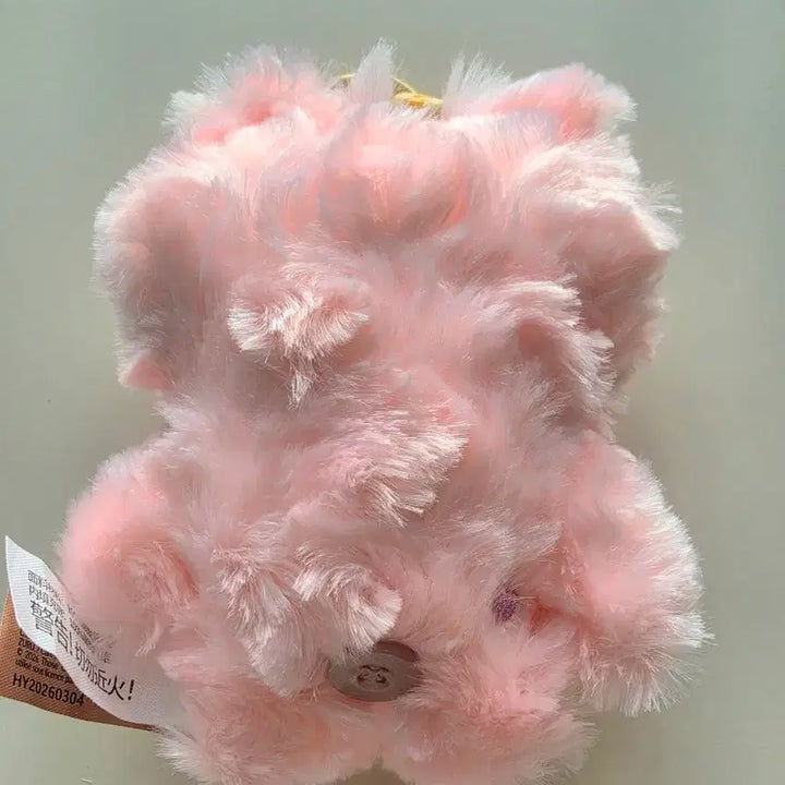 [BUNJANG] Pucky Care Bears Collaboration Chic Dusty Rose Plush / 퍼글러 케어베어 콜라보 / 시크 연핑크
