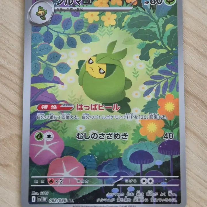 [BUNJANG] Pokemon Card Durkun AR Japanese / 카. 포켓몬카드 두르쿤 AR 일판