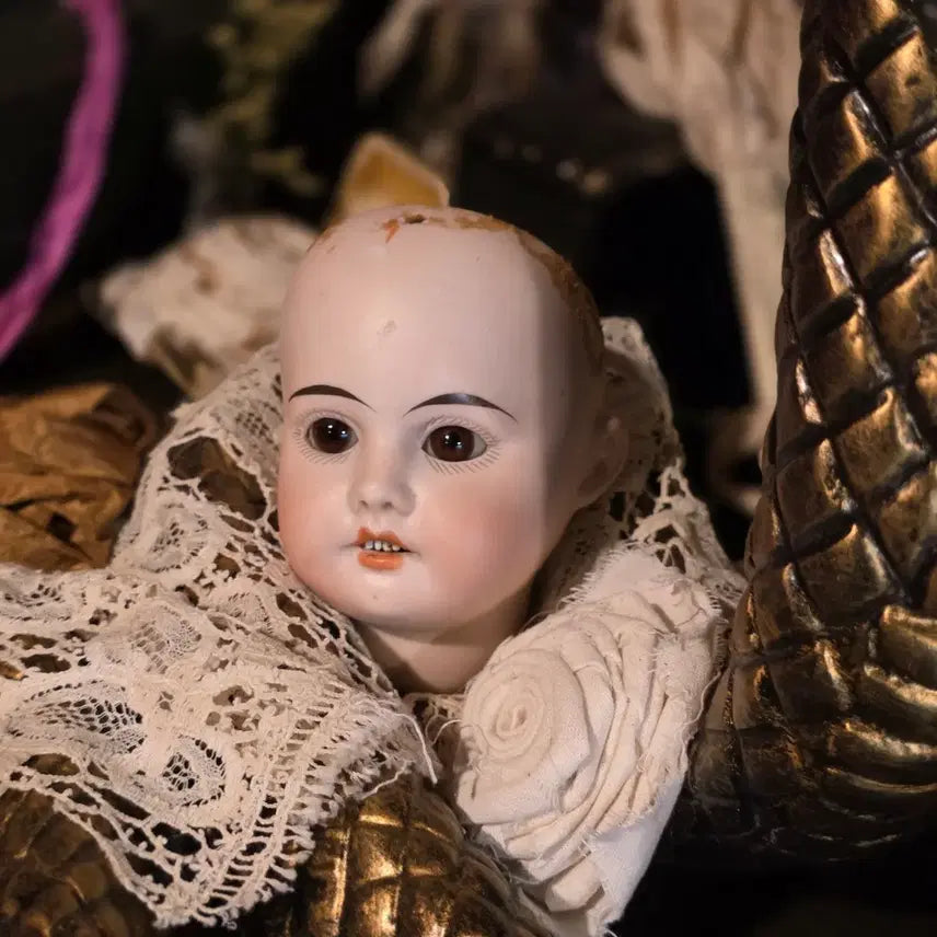 [BUNJANG] Antique Bisque Doll Head (200 Years Old) / 초희귀 앤틱 비스크돌