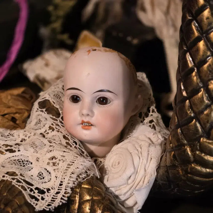 [BUNJANG] Antique Bisque Doll Head (200 Years Old) / 초희귀 앤틱 비스크돌