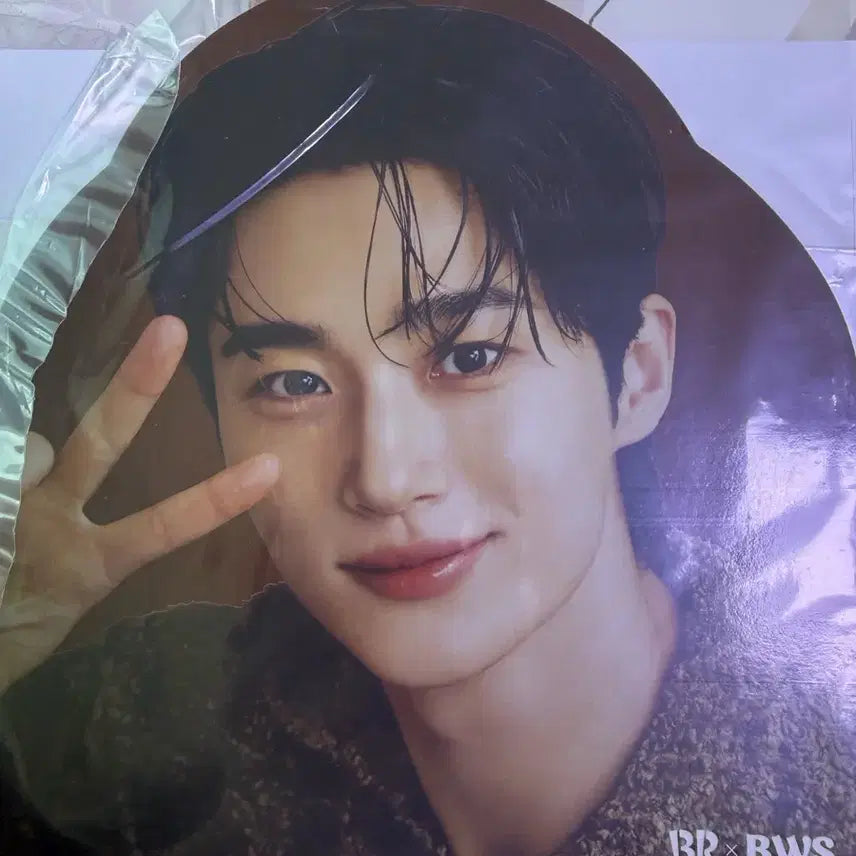 [BUNJANG] Byun Woo Seok Baskin Robbins Workshop Photocard &amp; Postcard Set / 변우석 배스킨 워크샵 포카 엽서 6종
