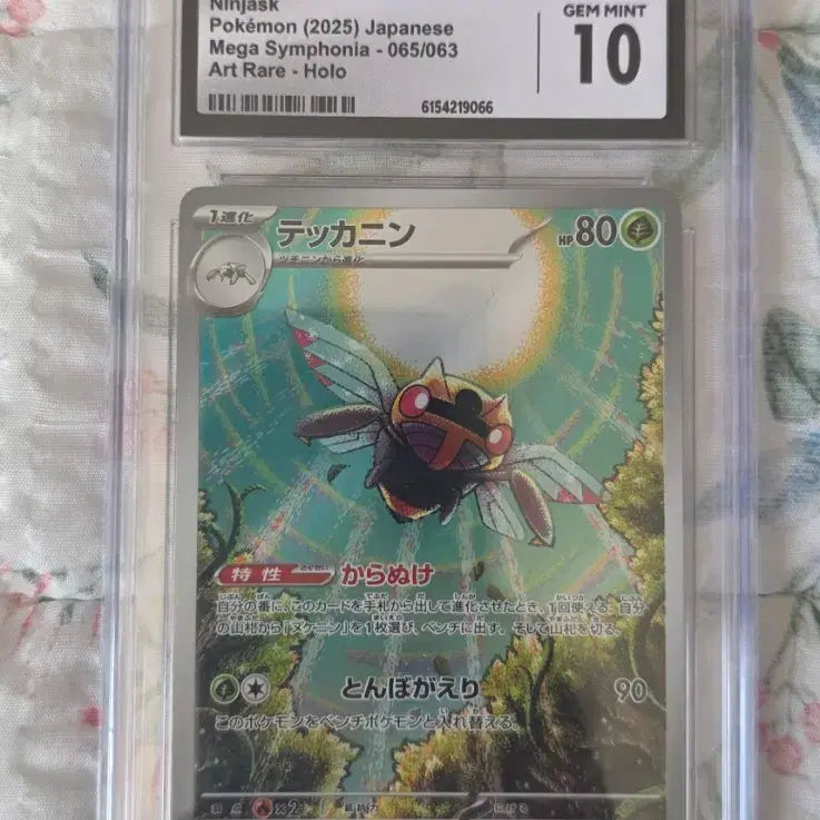 [BUNJANG] CGC Certified Charizard Pokemon Card GEM MINT 10 / 닌자스크 포켓몬 카드 10