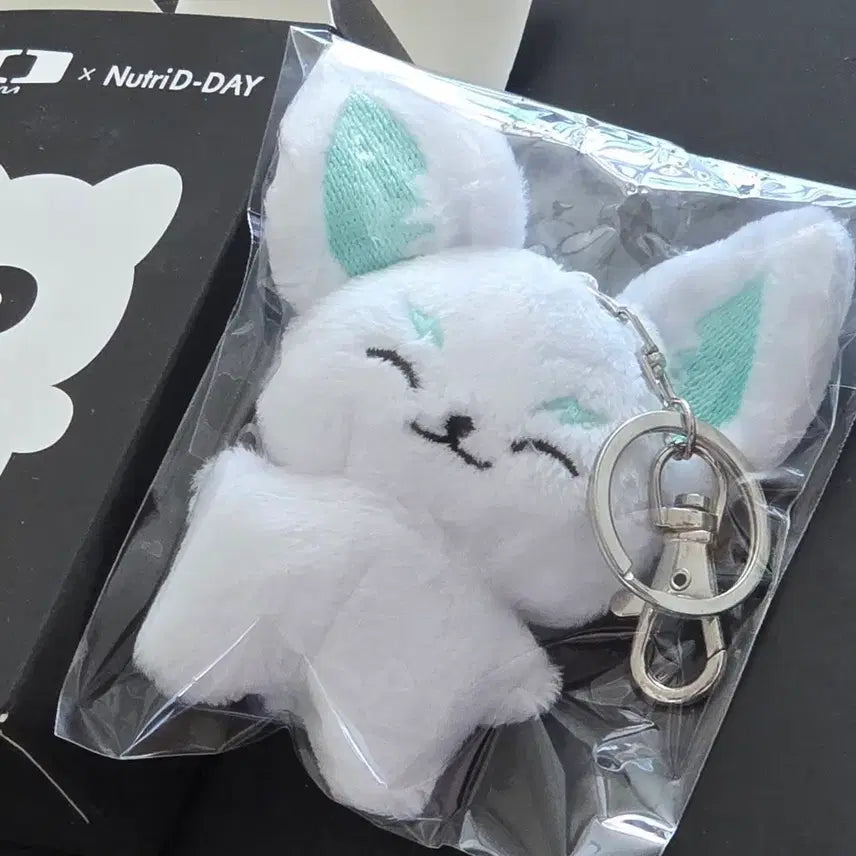 [BUNJANG] Nutriday Dplus KIA Career Keyring / 뉴트리디데이 디플러스 기아 커리어 키링