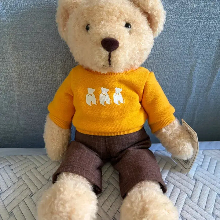 [BUNJANG] Teddy Bear Museum Rami (M) Plush Doll / 테디베어 정품 라미 인형