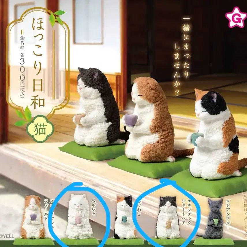 [BUNJANG] Snack Cats Gacha Set / (2종 일괄) 다과 고양이 가챠 팝니다! 따뜻한 하루