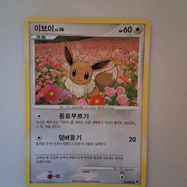 [BUNJANG] Pokemon Card Eevee Basic 2012 / 포켓몬 카드 2012  고대 카드 이브이 기본