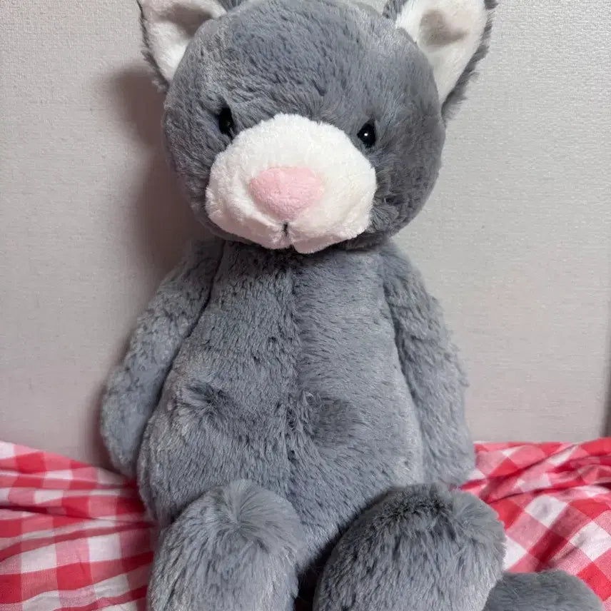 [BUNJANG] Jellycat Bashful Kitten M Size / jellycat 젤리캣 바쉬풀 키튼
