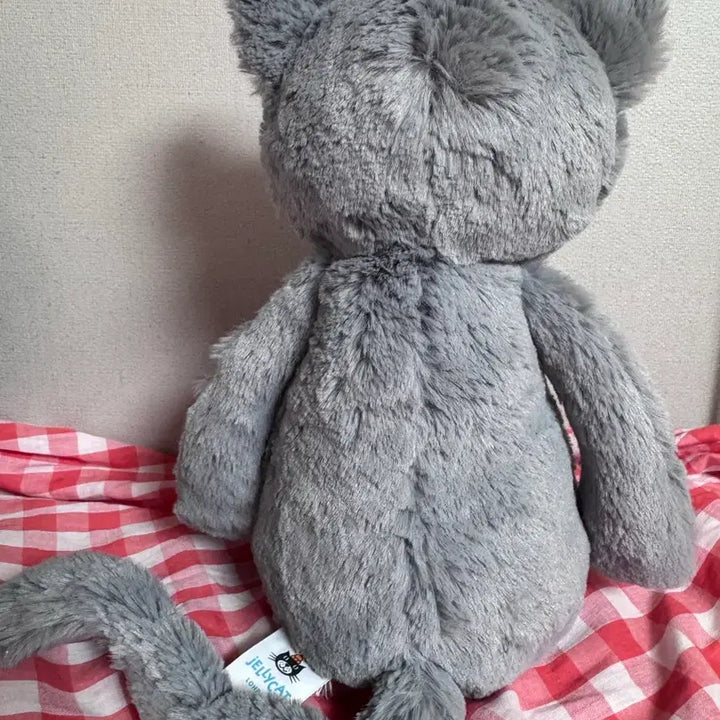 [BUNJANG] Jellycat Bashful Kitten M Size / jellycat 젤리캣 바쉬풀 키튼